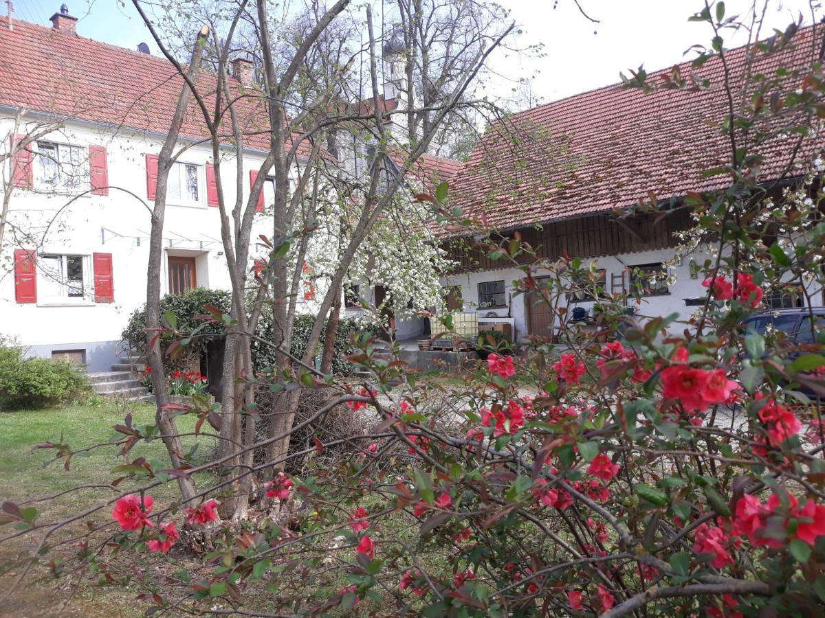 Zum Scheunenhof - Bauernhaus Ихенхаузен Екстериор снимка